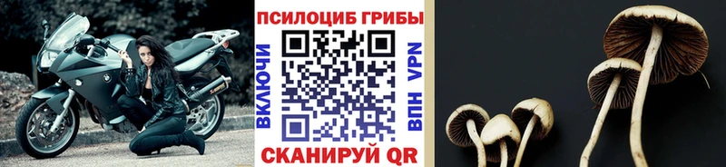 Псилоцибиновые грибы мухоморы  Алексеевка 