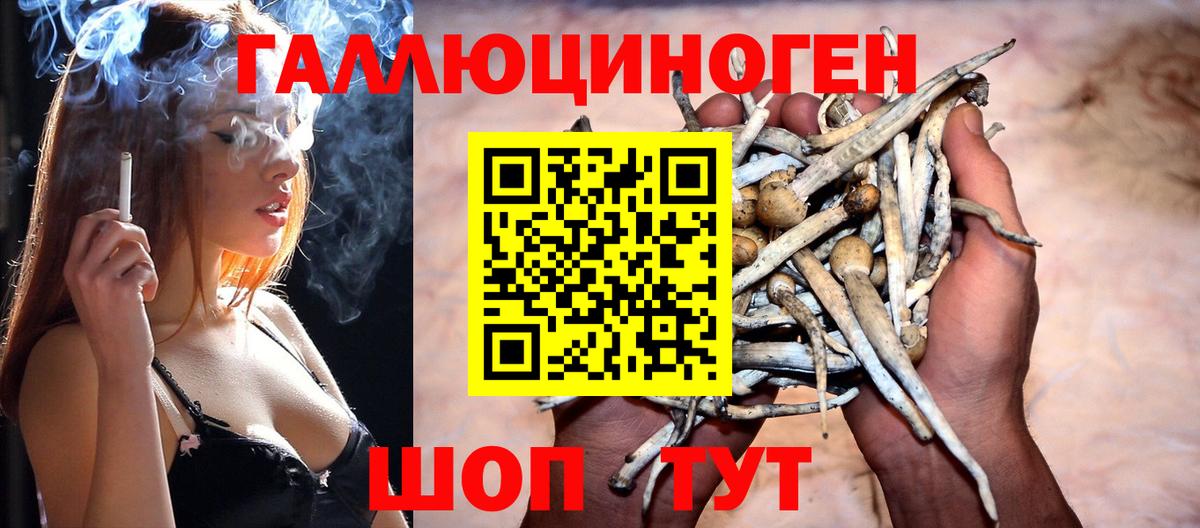 Лсд 25  Гашиш  Конопля  Меф  Алексеевка  Вход с VPN  Гашиш  Мефедрон   НБОМе 
