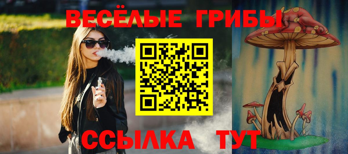 Псилоцибиновые грибы прущие грибы  Вход с VPN  магазин продажи наркотиков  Алексеевка 