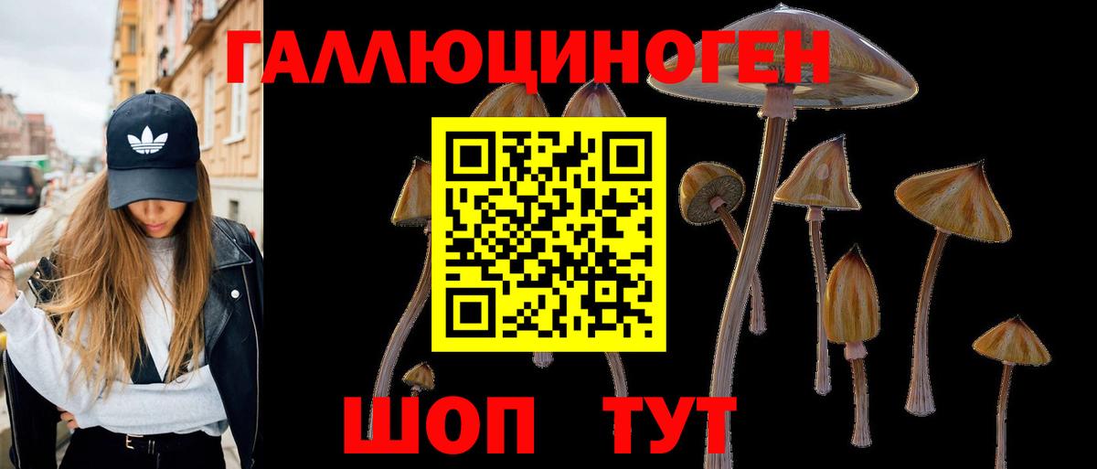 Псилоцибиновые грибы мицелий Алексеевка